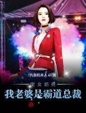 宠妻奶爸我的老婆巨有钱奔跑的小马