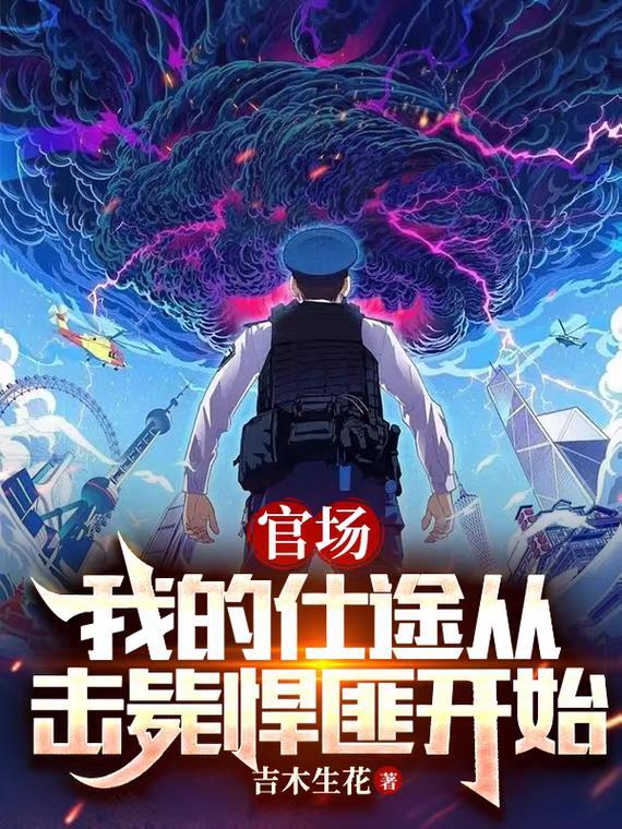 我的仕途生涯