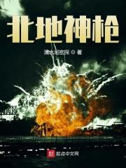 北地枪王张绣精校