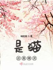 猫还是猫