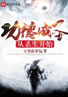 功德成神系统