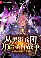 从火影开始的黑影兵团