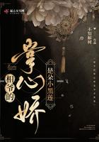 相爷txt