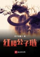 红楼公子琏全本TXT