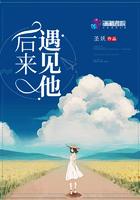 歌曲后来遇见他
