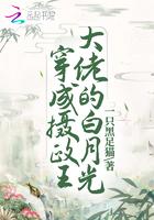 穿成摄政王大佬的白月光免费阅读