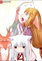我是白狐什么意思