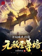 开局便成圣