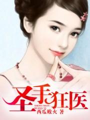 都市圣手狂医