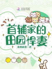 首辅家的农