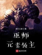 巫师元素领主免费阅读全文
