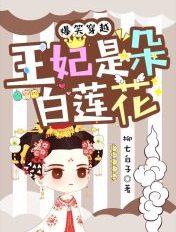 爆笑穿越王妃是朵白莲385