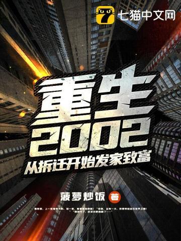 重生到2002年的