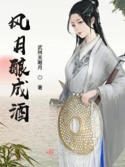风月这首歌唱的什么意思