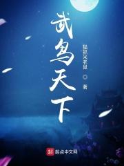 风云武天下