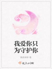 我爱你只为守护你歌词